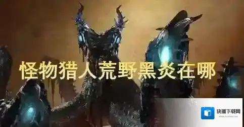 怪物猎人荒野黑炎