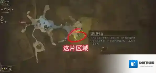 怪物猎人荒野任务攻略