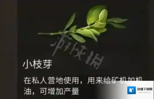 明日之后小枝芽怎么获得 明日之后小枝芽获得方法