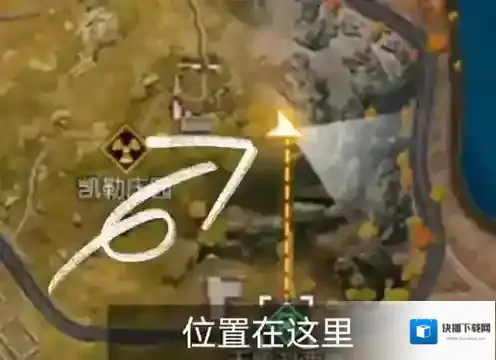 黎明觉醒生机红木林