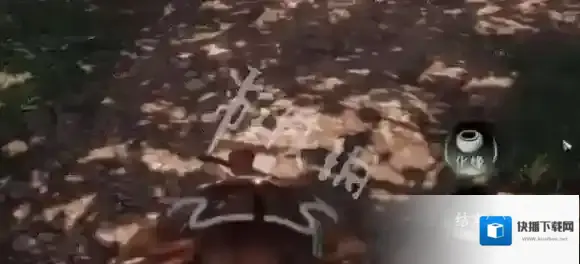 下一站江湖选择