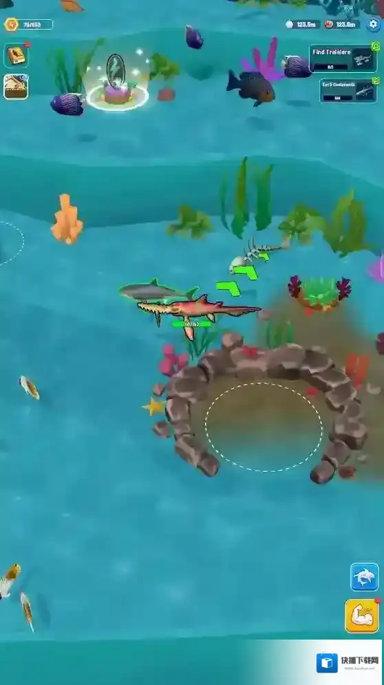 鲨鱼进化海洋之战海洋生物