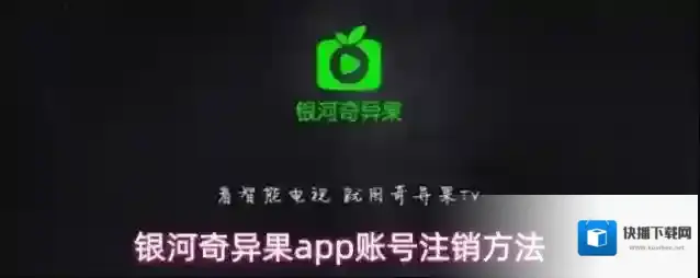 银河奇异果主界面