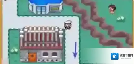 口袋妖怪漆黑的魅影绿岭