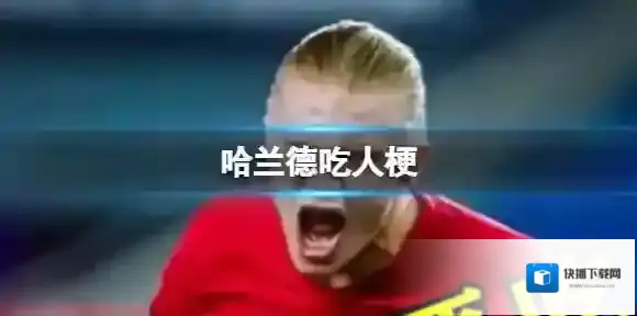 梗百科哈兰德