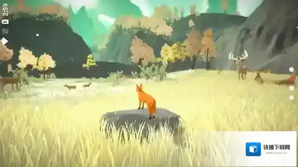 the first tree探索