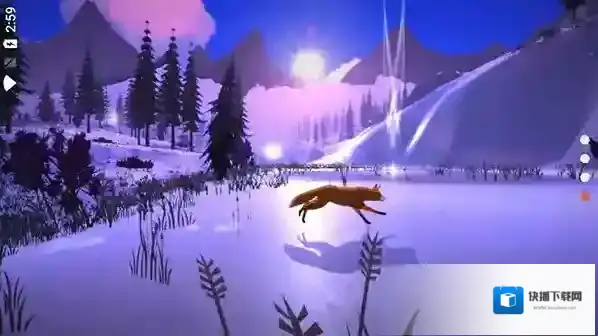 the first tree星星