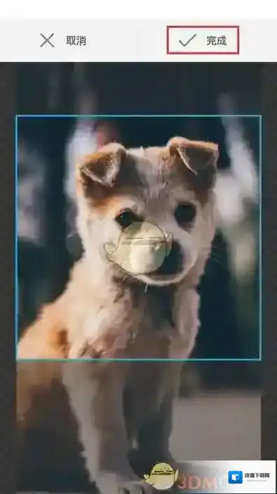 APlayer就可以