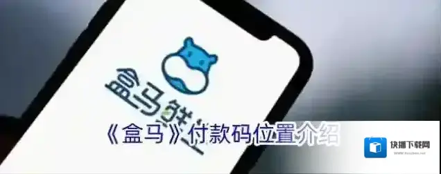 《盒马》付款码位置介绍