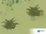 江南百景图消耗
