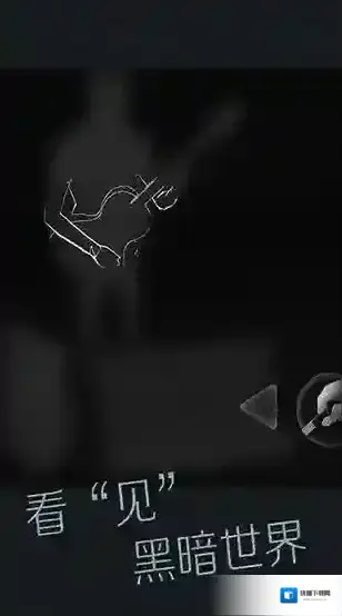 见视障