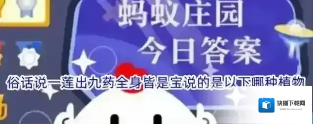 俗话说一莲出九药全身皆是宝说的是以下哪种植物