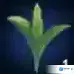 剑网3：指尖江湖属性