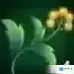 剑网3指尖江湖材料大全 全材料采集属性介绍攻略